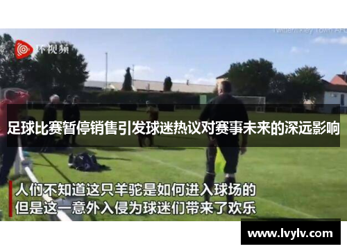 足球比赛暂停销售引发球迷热议对赛事未来的深远影响